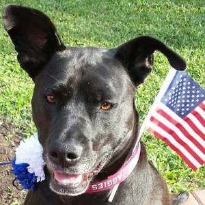 Meet your Posher, Juanita spoon